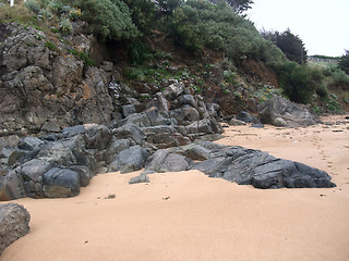 Image showing coastal detail