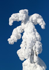 Image showing Koli Finland