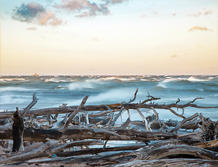 Image showing Beautiful coast scene