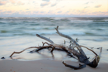 Image showing Beautiful coast scene