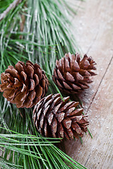 Image showing christmas fir tree with pinecones