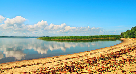 Image showing Love Island in Lake Pskov