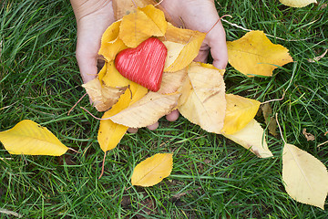 Image showing Hand holding Red heart and autumn leafs