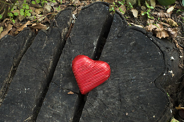 Image showing Red wrapped heart