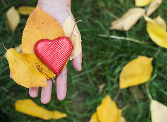 Image showing Hand holding Red heart and autumn leafs