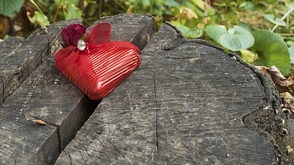 Image showing Red wrapped heart