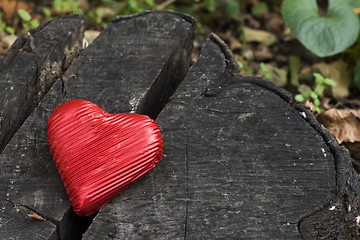 Image showing Red wrapped heart