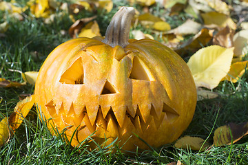 Image showing Pumpkin on grass and autumn leaves