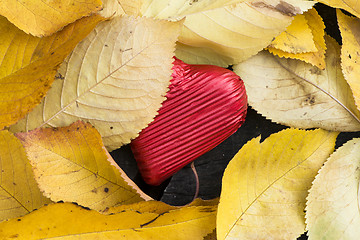 Image showing Red wrapped heart and autumn leafs