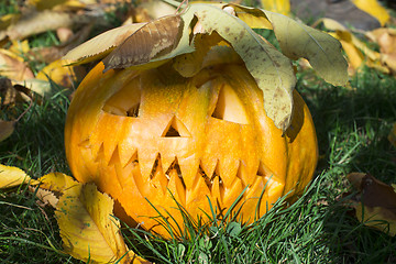 Image showing Pumpkin on grass and autumn leaves