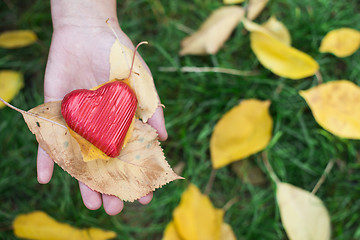 Image showing Hand holding Red heart and autumn leafs