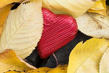 Image showing Red wrapped heart and autumn leafs