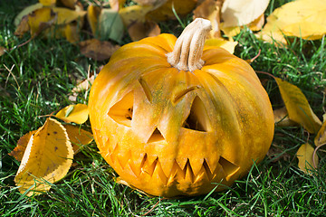 Image showing Pumpkin on grass and autumn leaves