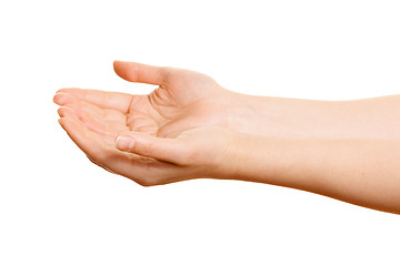 Image showing Woman's hands holding something on a white