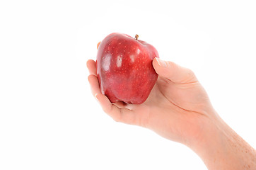 Image showing A Hand Holding a Red Apple on White