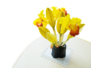 Image showing yellow orchid