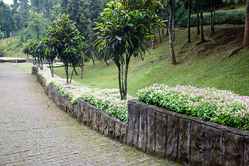 Image showing Mae Fah Luang Garden,locate on Doi Tung, Chiangrai Province, Tha