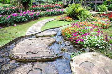 Image showing Marigold flower at Mae Fah Luang Garden,locate on Doi Tung,Thailand