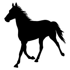 Image showing vector silhouette of horse