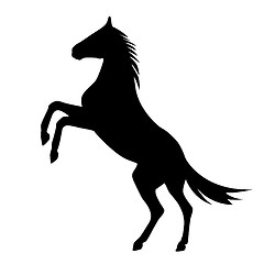 Image showing rearing up horse  vector silhouette