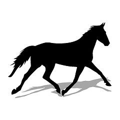 Image showing vector silhouette of horse