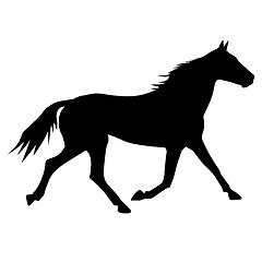 Image showing vector silhouette of horse