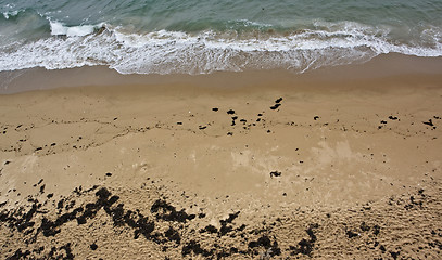 Image showing rocky coast detail