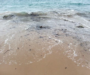 Image showing rocky coast detail