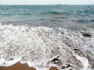 Image showing rocky coast detail