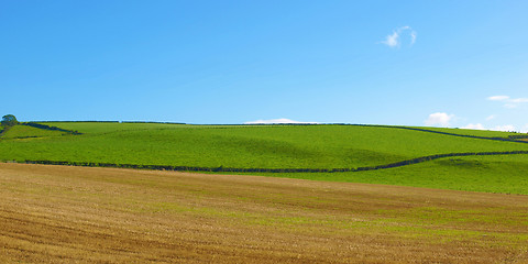 Image showing Cardross hill panorama