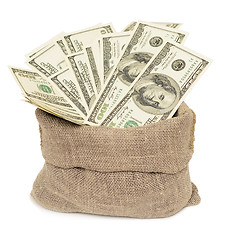 Image showing dollars in bag