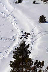 Image showing campaign backpacks from the mountain in the winter