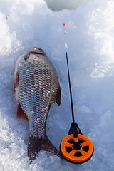 Image showing roach and ice  fishing