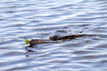 Image showing pike fishing