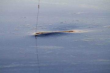 Image showing pike fishing