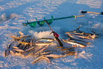 Image showing smelt fishing