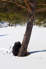 Image showing campaign backpacks in the winter wood