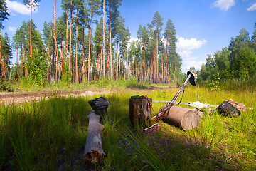 Image showing hunting. rest in the wood