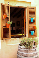 Image showing fresh green different herbs and flowers on window outdoor 