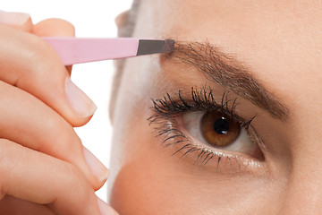 Image showing youtg beautiful woman eyebrow plucking tweezers eyes hair 