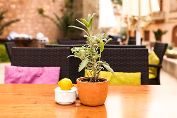 Image showing table flower decoration in cafe restaurant outdoor in summer