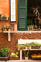 Image showing fresh green different herbs and flowers on window outdoor 