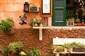 Image showing fresh green different herbs and flowers on window outdoor 