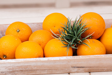 Image showing fresh orange fruits decorative on table in summer