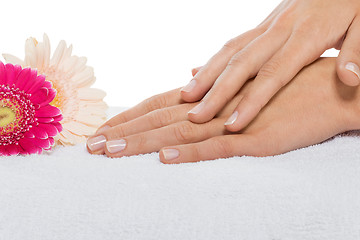 Image showing manicure making in beauty spa salon 