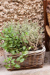 Image showing fresh green different herbs and flowers on window outdoor 