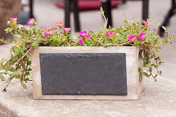 Image showing small chalkboard copyspace in decorative flower pot outdoor