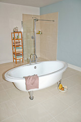 Image showing Shower and bath