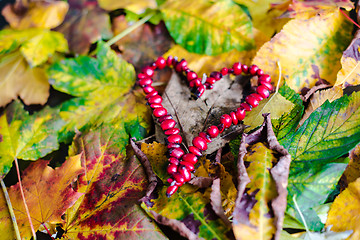 Image showing Love Autumn