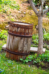 Image showing Old wooden barrel